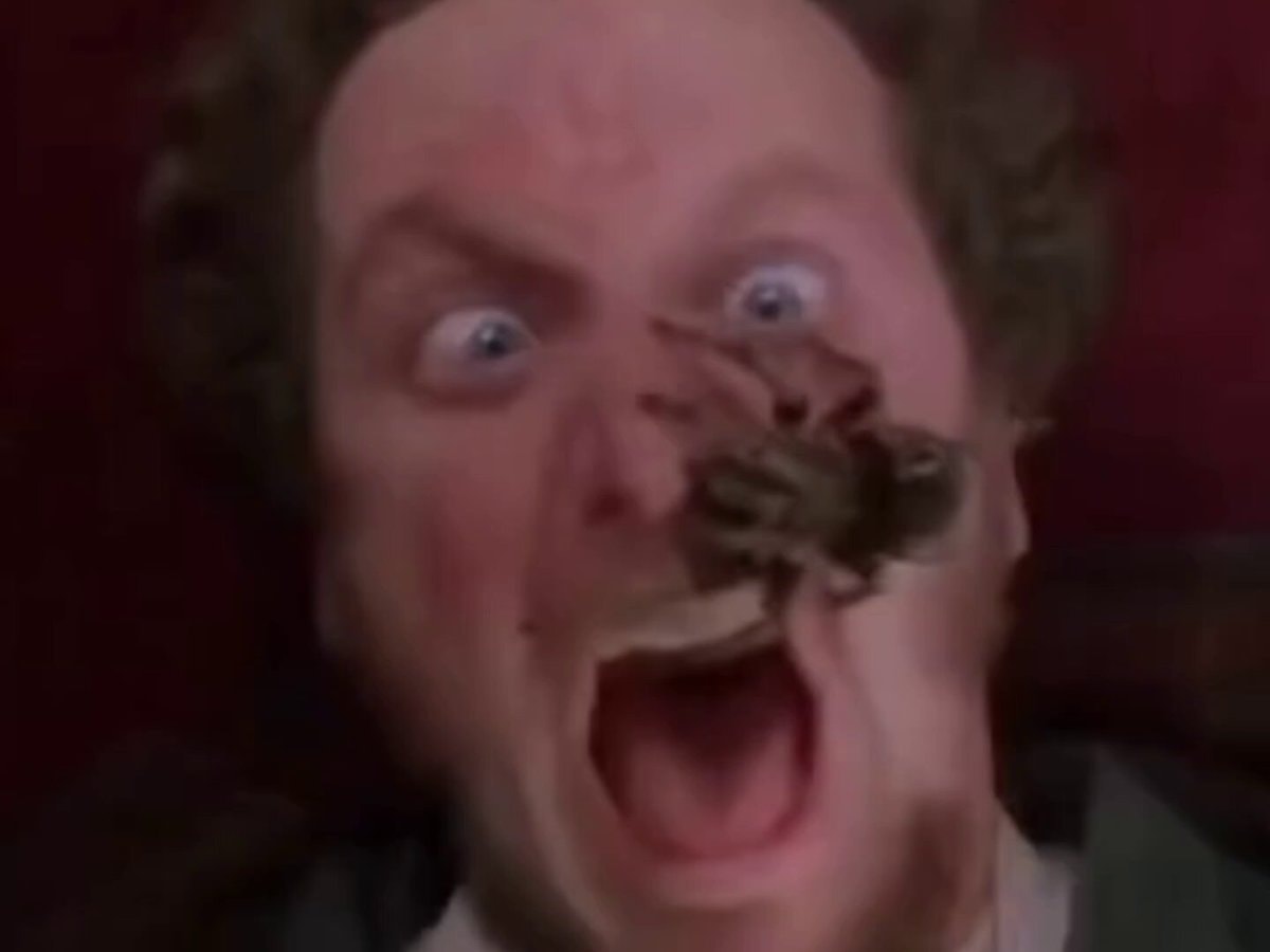 Tim Curry Home Alone trivia