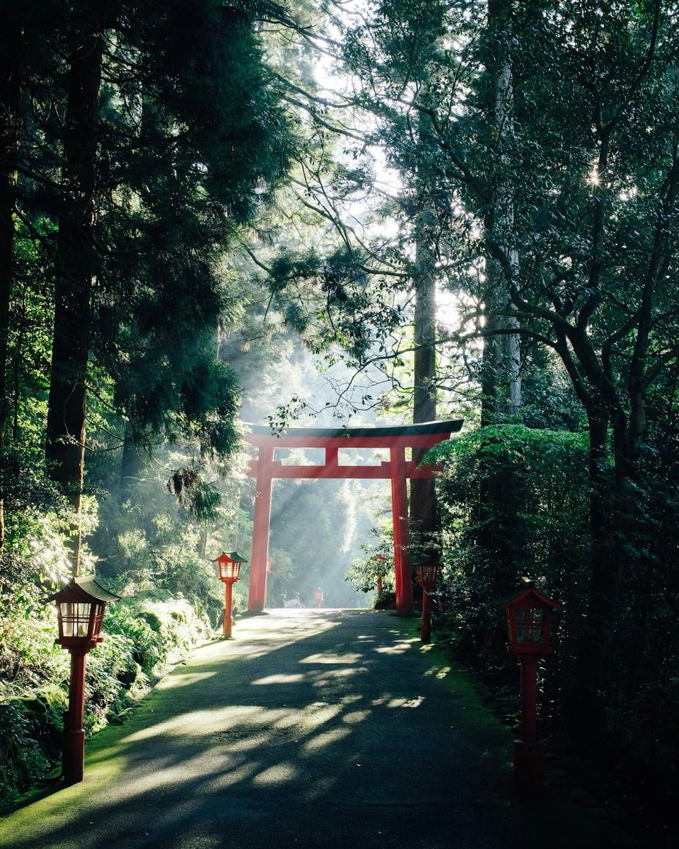 Hakone Japan Torii Gate ⛩️