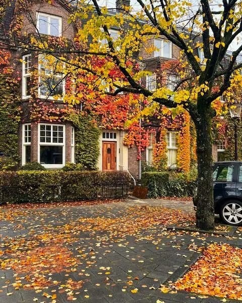 Amsterdam canals in autumn (photo 2 of 4)