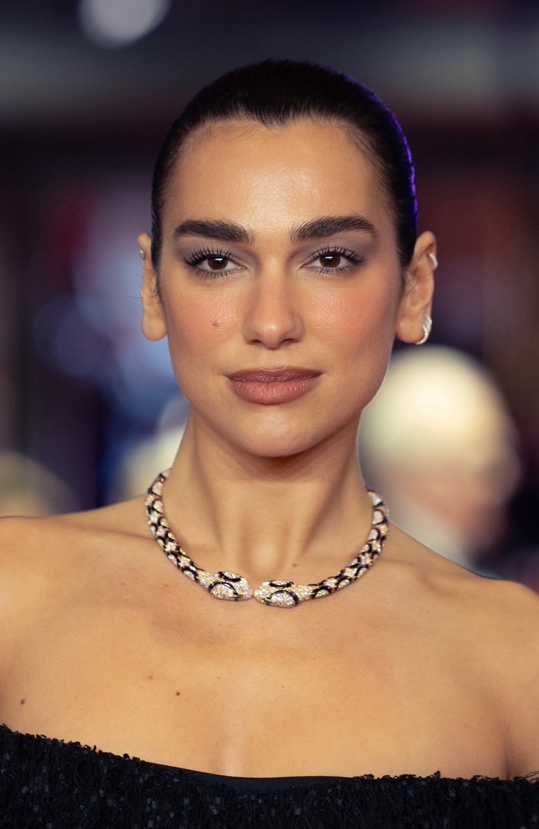 Dua Lipa biography details