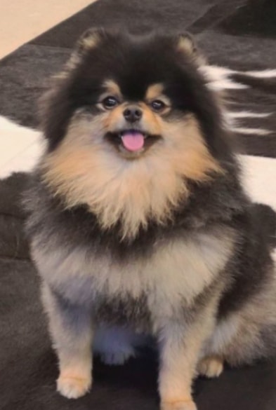 Yeontan birthday 9 years Taehyung (photo 2 of 2)
