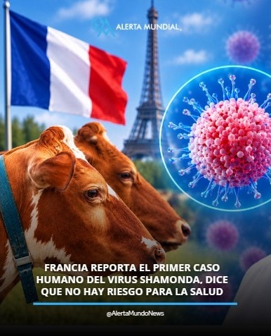 Shamonda virus France first case Shamonda virus France first case
