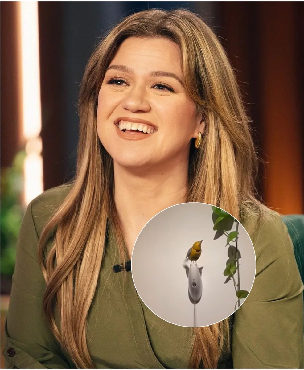 Kelly Clarkson Art of Play statement