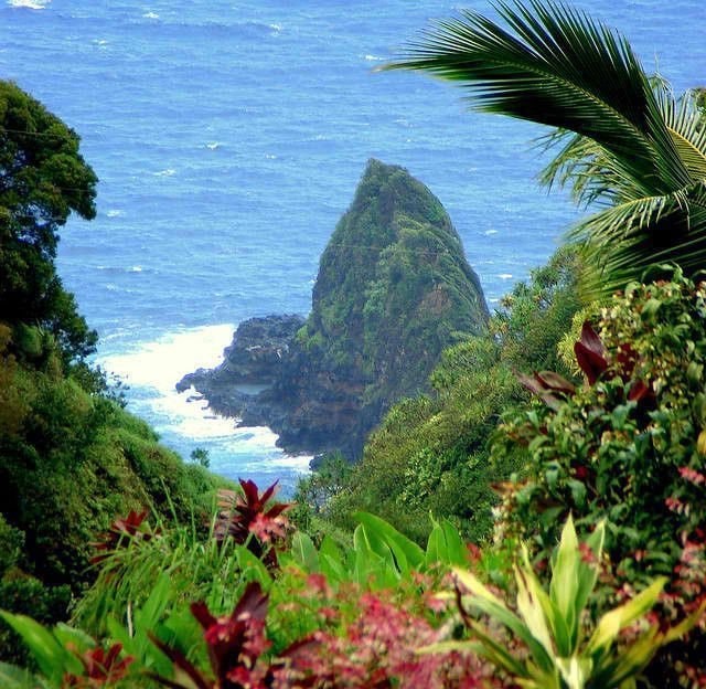 Hawaii tropical resort (photo 2 of 4)