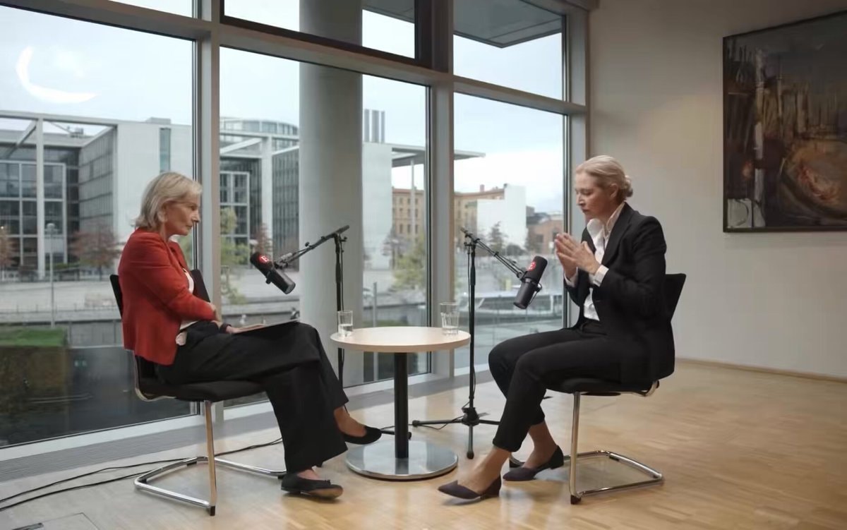 Alice Weidel AfD interview