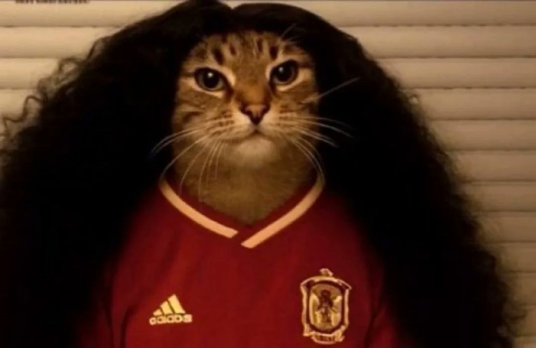 Cat in wig and Dembele jersey