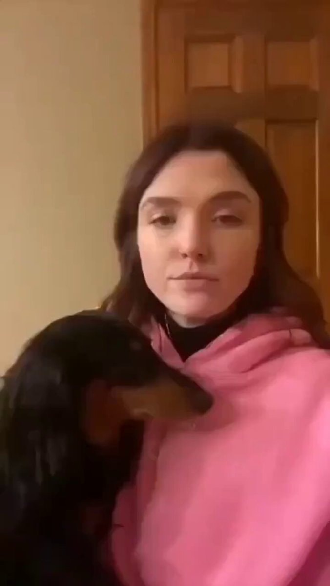 dogs reactions to being kissed