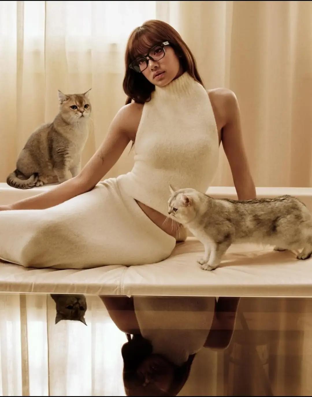 Lisa MetaGlassesbyLISA cat (photo 4 of 4)