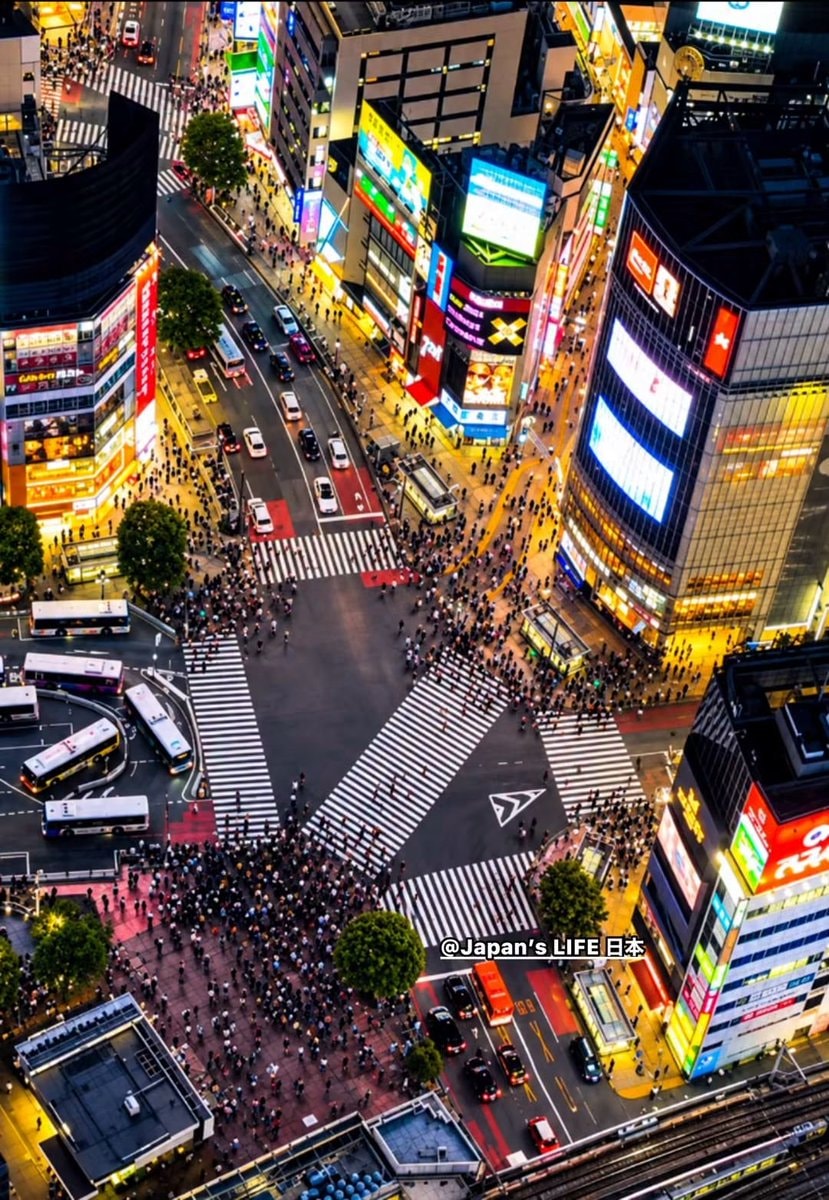Shibuya Crossing Japan