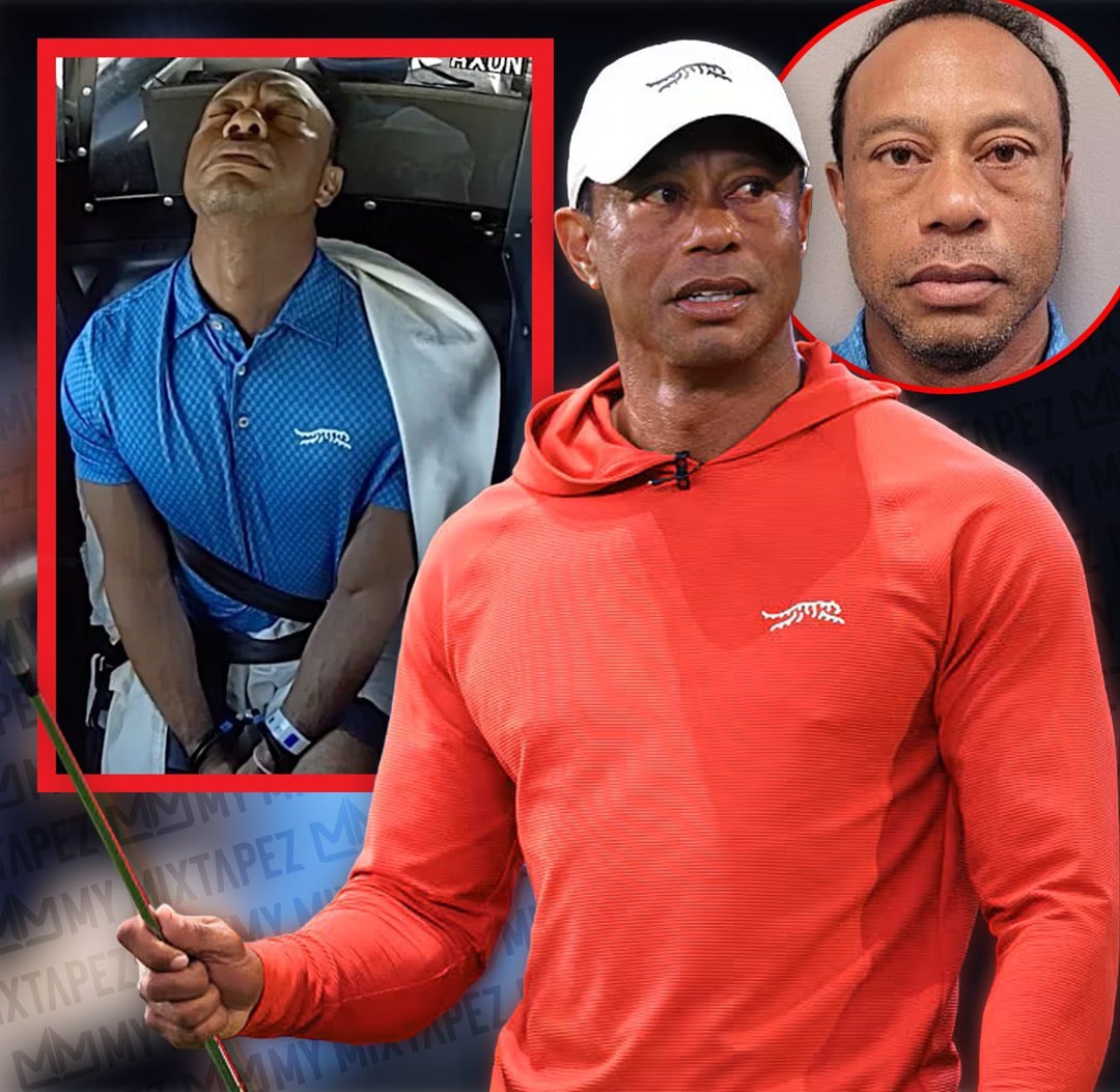 Tiger Woods DUI plea deal