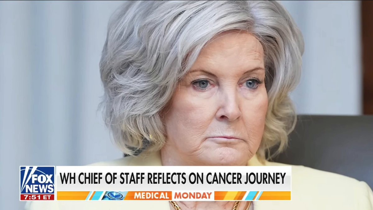 Susie Wiles cancer journey