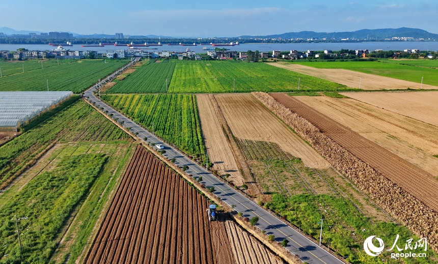 Jiangxi Chaisang district autumn farming (photo 2 of 4)