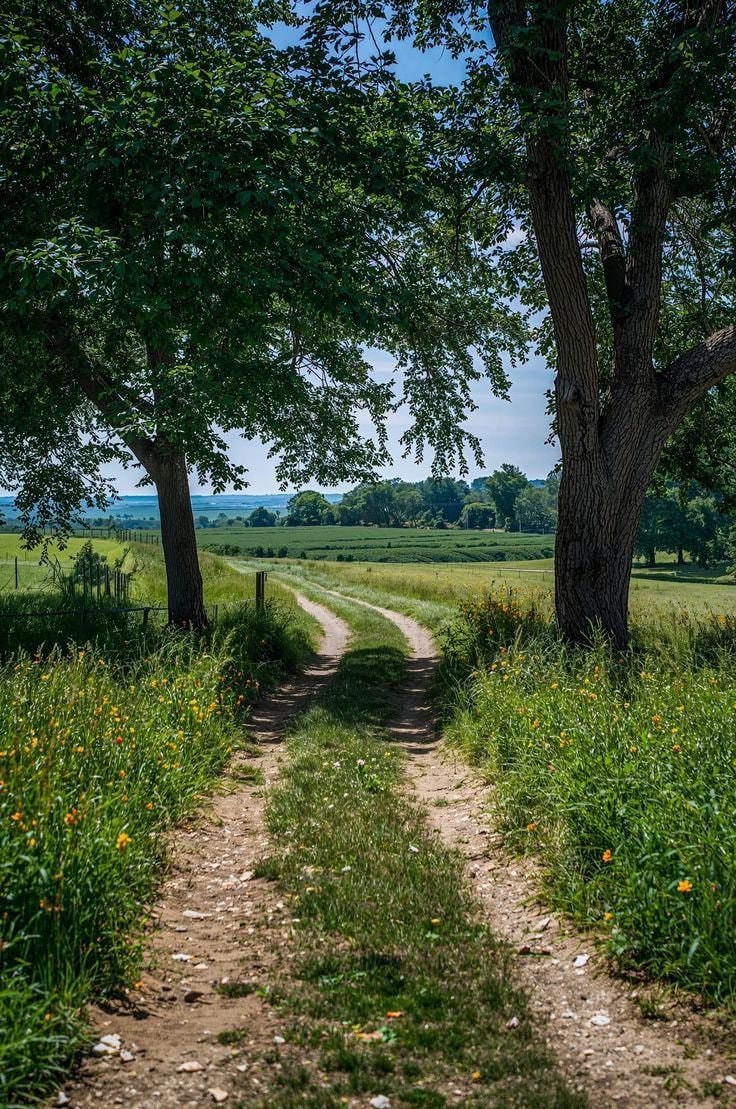 Nature free therapy (photo 3 of 4)