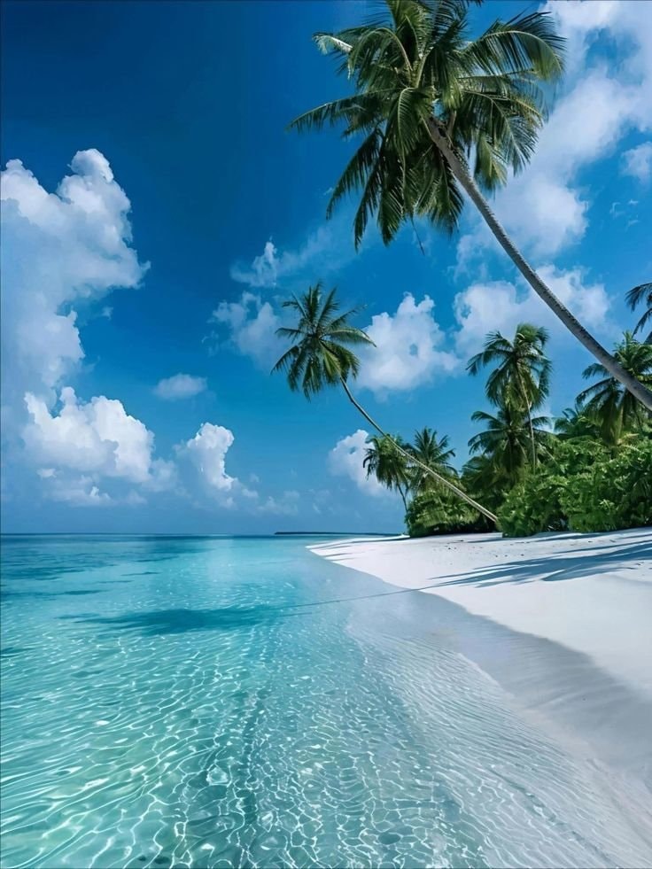 Maldives beach