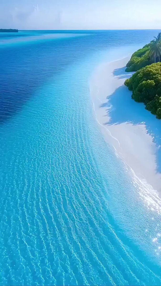 tropical beach scene
