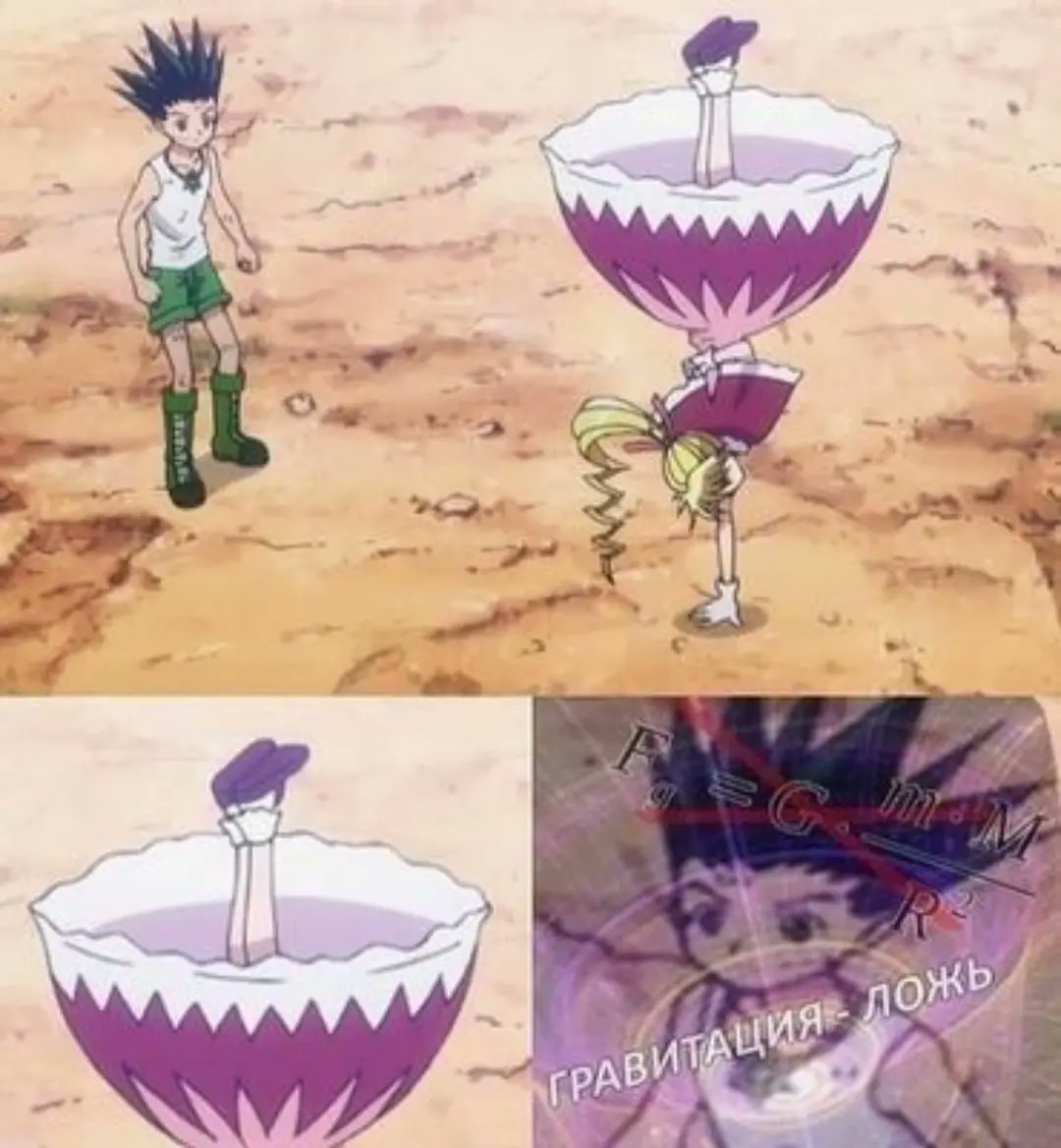 gravity is a lie anime meme