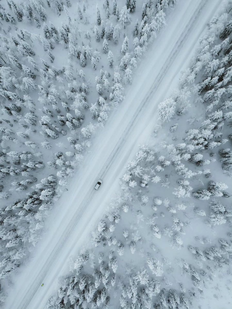 Finland snowy forest aerial (photo 1 of 3)