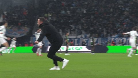 De Zerbi celebrating on the field