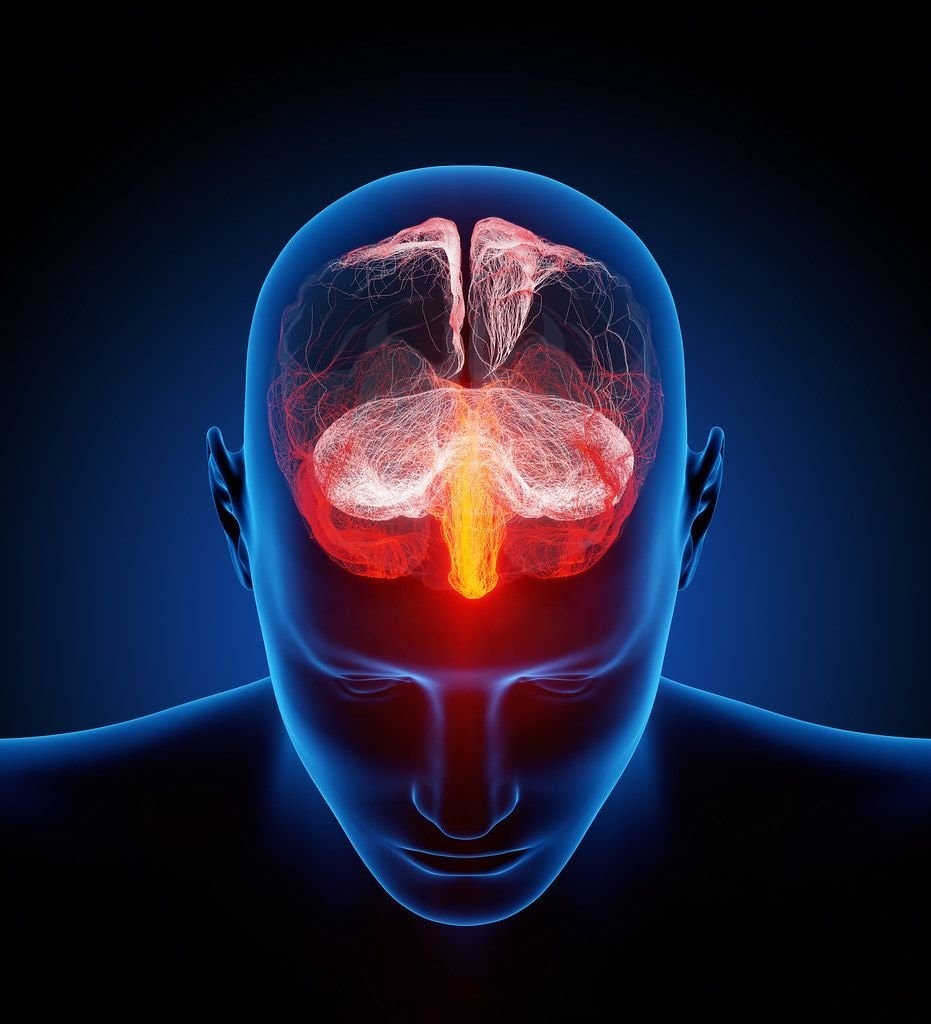 Estrogen and Trauma response Estrogen and Trauma response