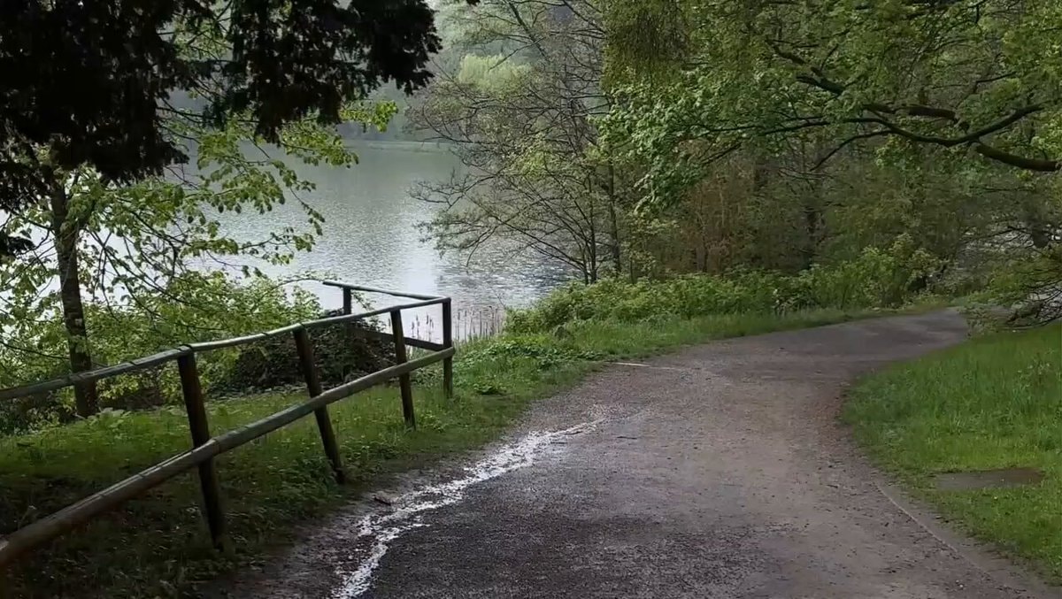 Scenic nature walk by the lake