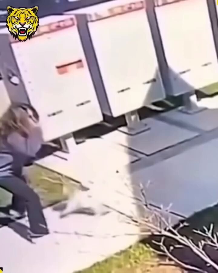 Never turn your back in the wild