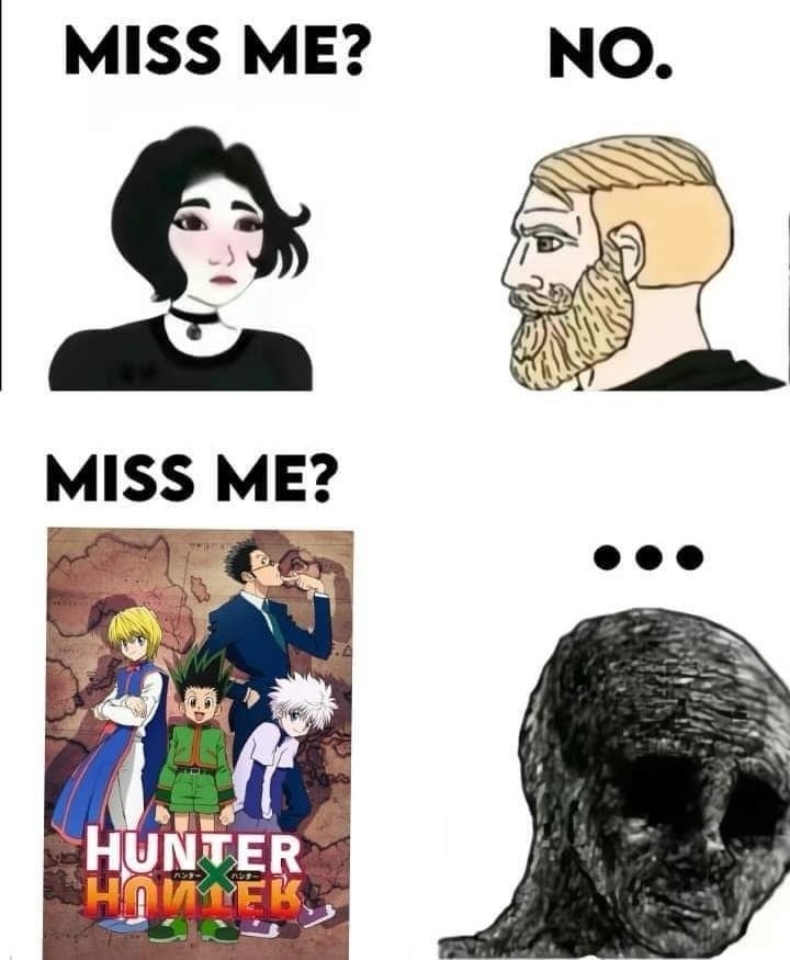 Hunter x Hunter new season wish Hunter x Hunter new season wish