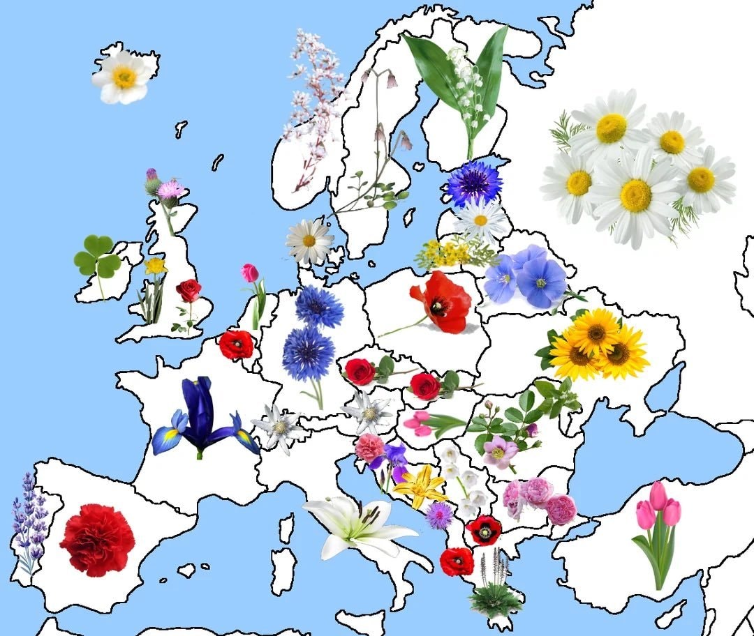 National flowers of Europe map