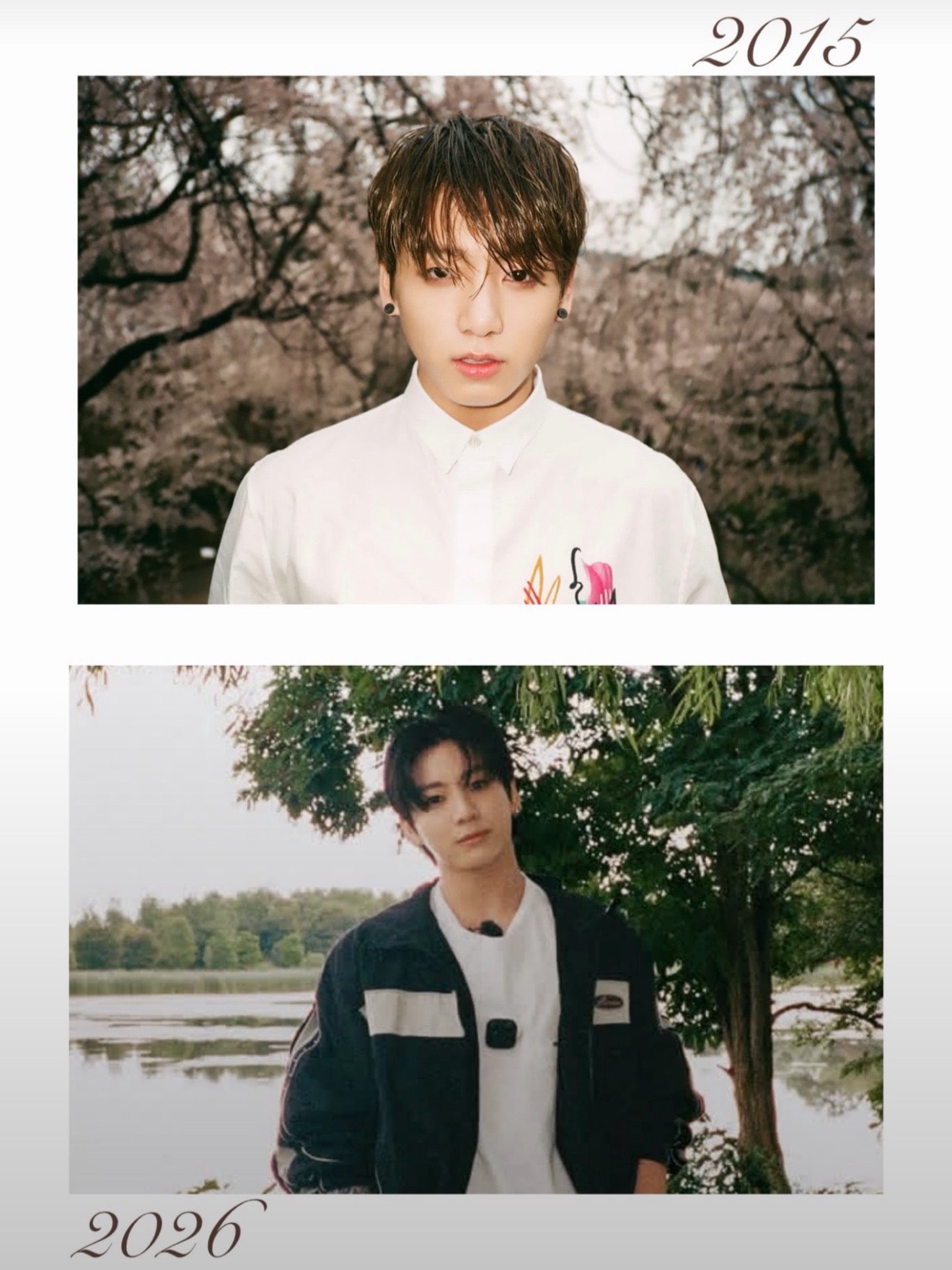 split screen portrait
