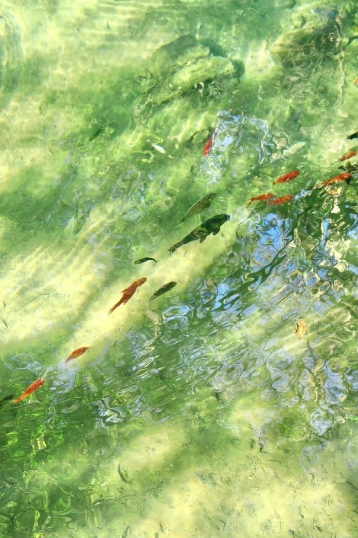 Shades of green water (photo 3 of 4)