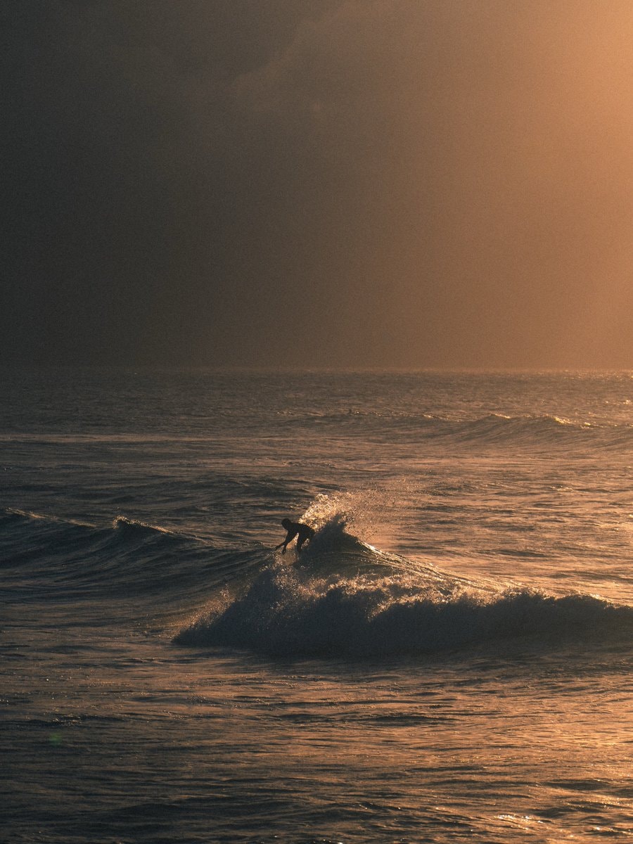 surfer at golden hour