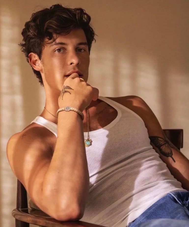 Shawn Mendes Stitches RIAA Diamond