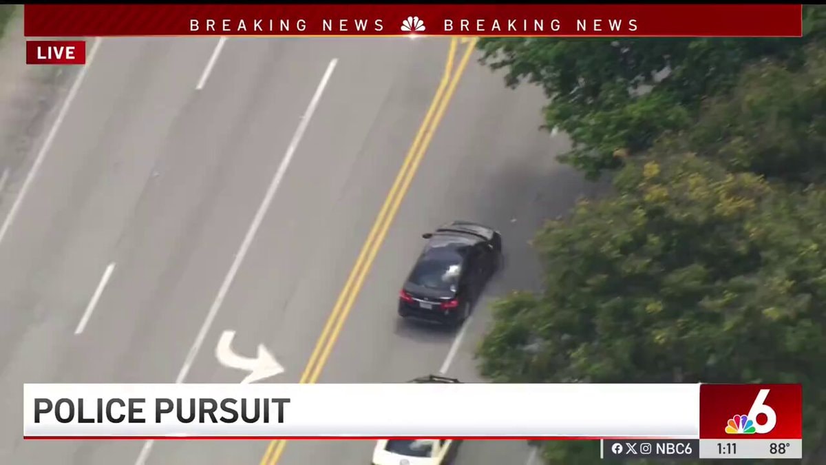 Florida man carjacking chase