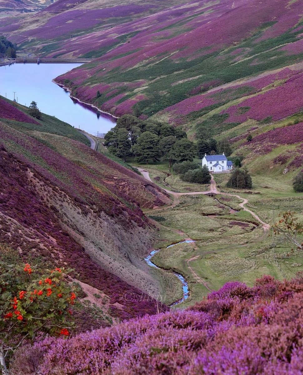 Pentland Hills Scotland (photo 2 of 2)