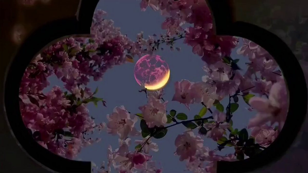 heart shaped window moon flowers dreamy