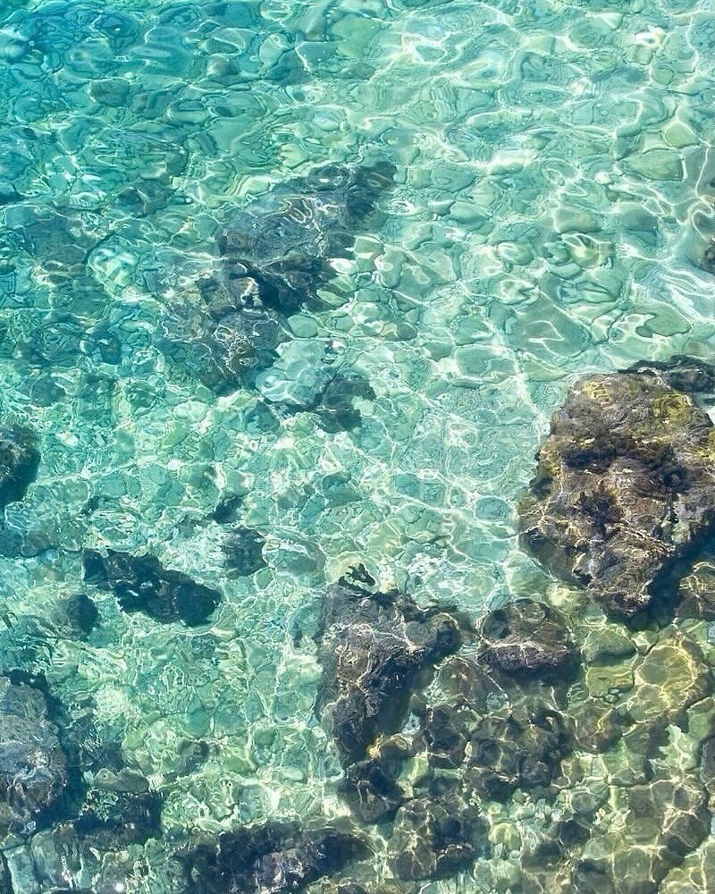 starfish in clear water (photo 4 of 4)