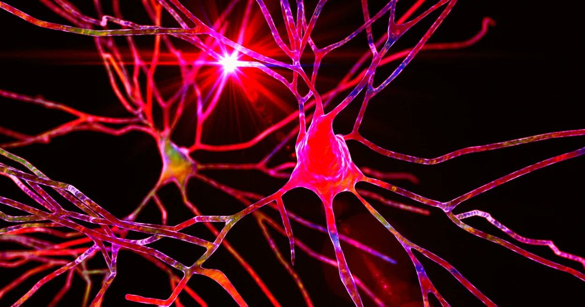 Huntington's disease treatment breakthrough (photo 2 of 2)