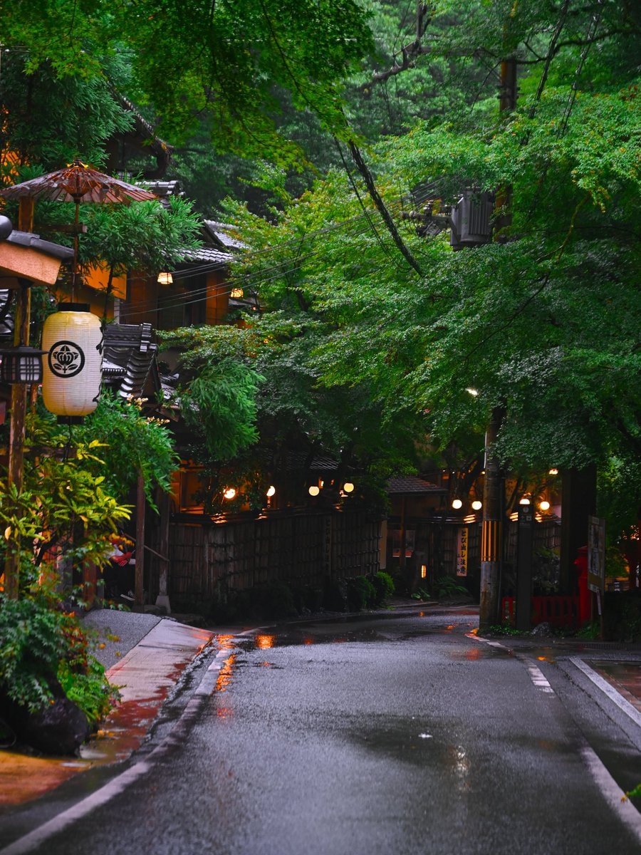Kyoto Japan autumn foliage (photo 3 of 4)
