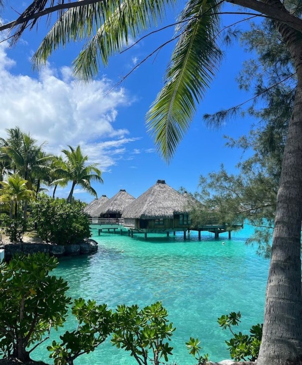 Relaxing Maldives vibes