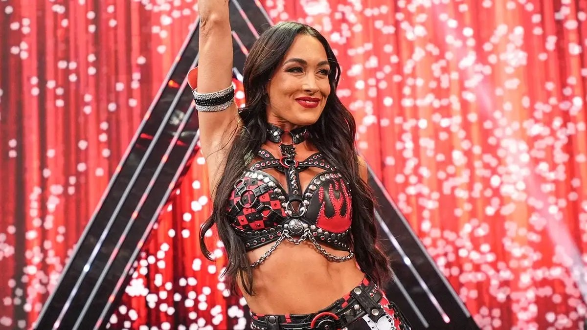 Brie Bella scapula injury update