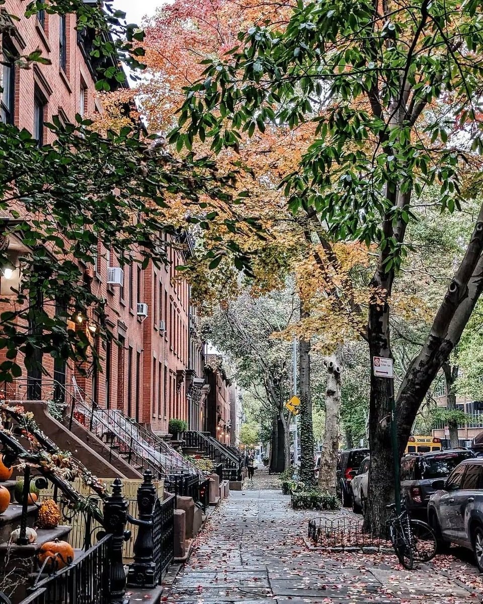 autumn in Brooklyn New York