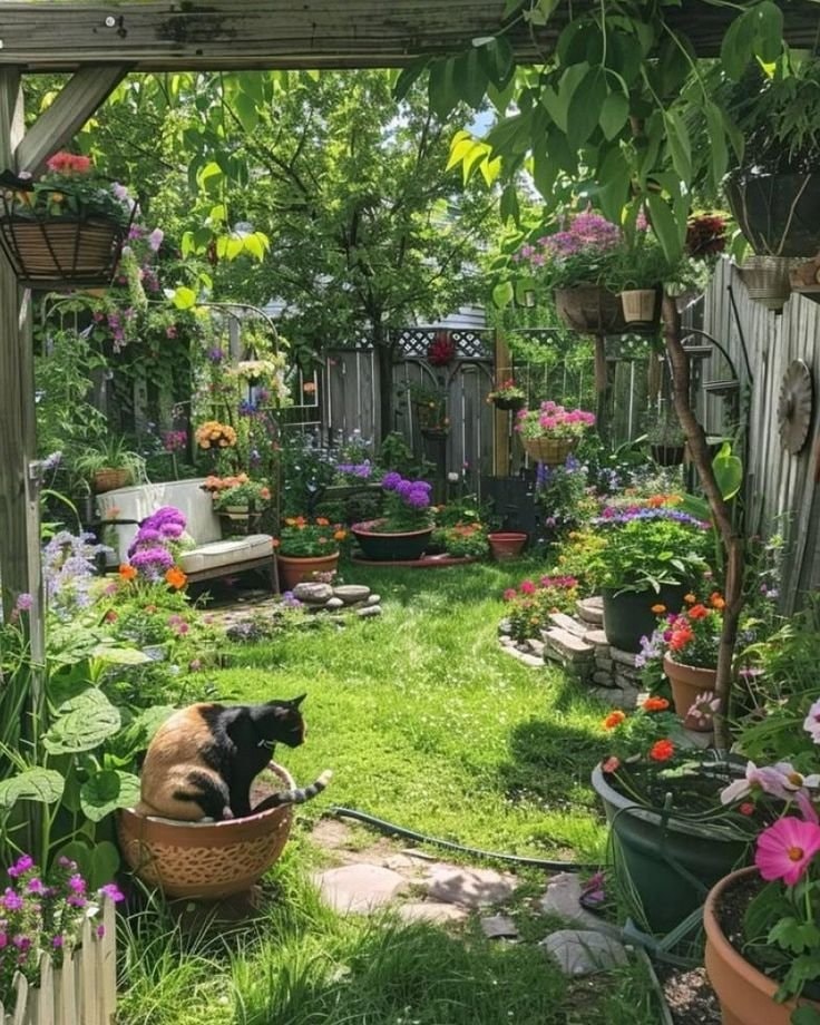 Black cat in flower garden (photo 3 of 4)