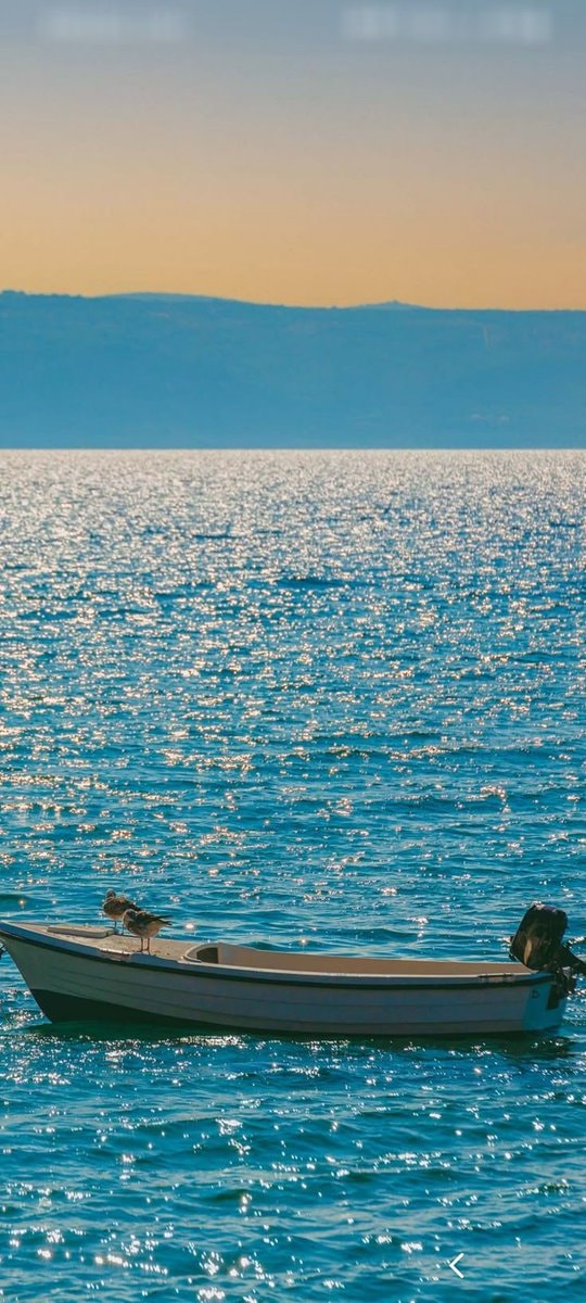 seagulls at sunrise beach (photo 2 of 2)