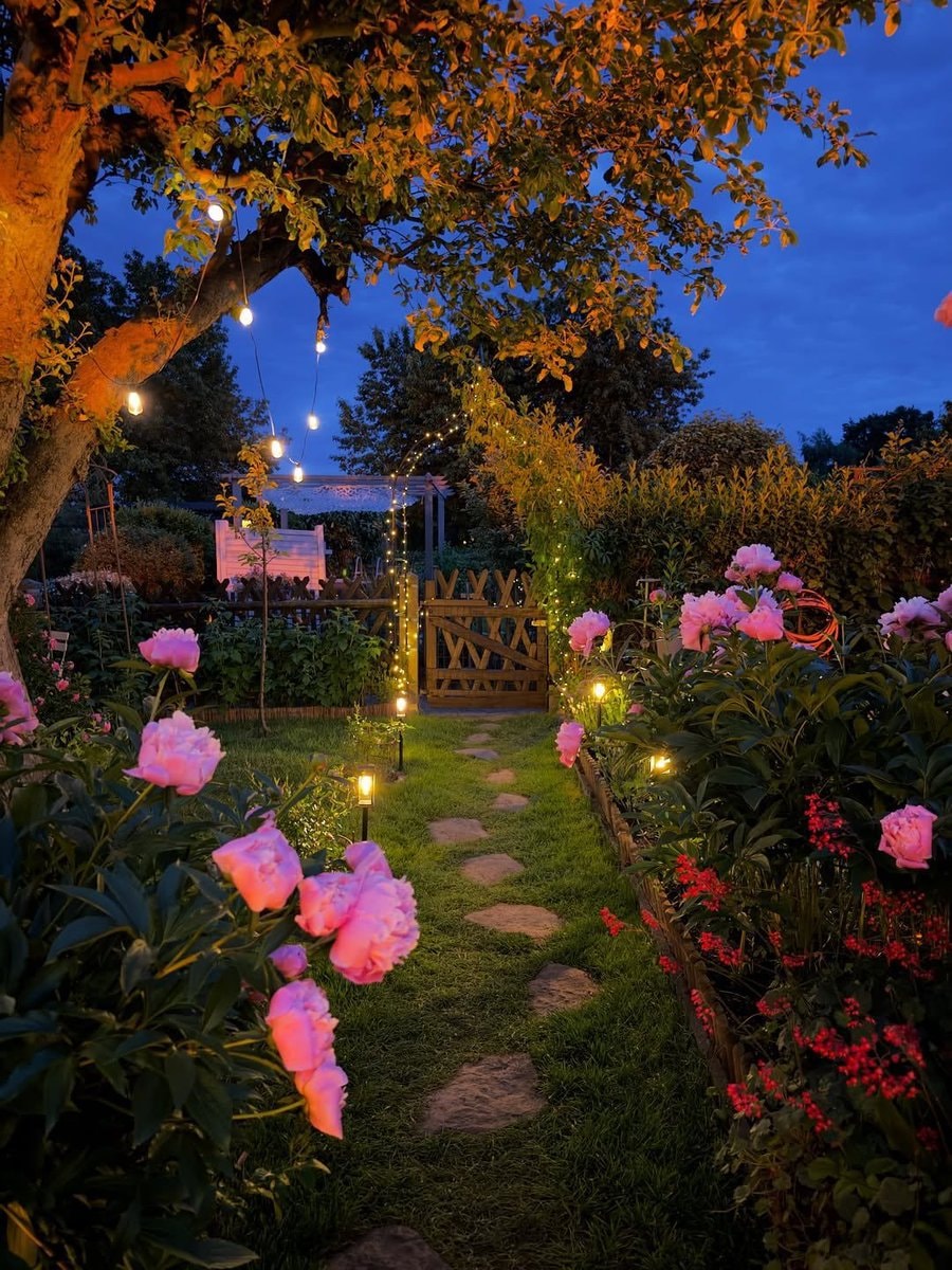 Fairy tale garden with string lights and hydrangeas (photo 4 of 4)