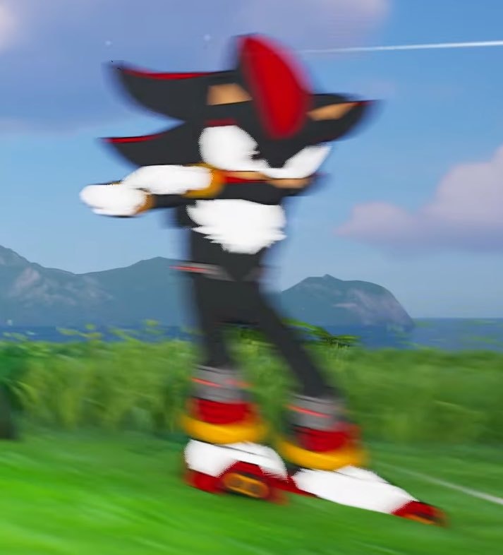 Shadow the Hedgehog in Fortnite (photo 2 of 2)