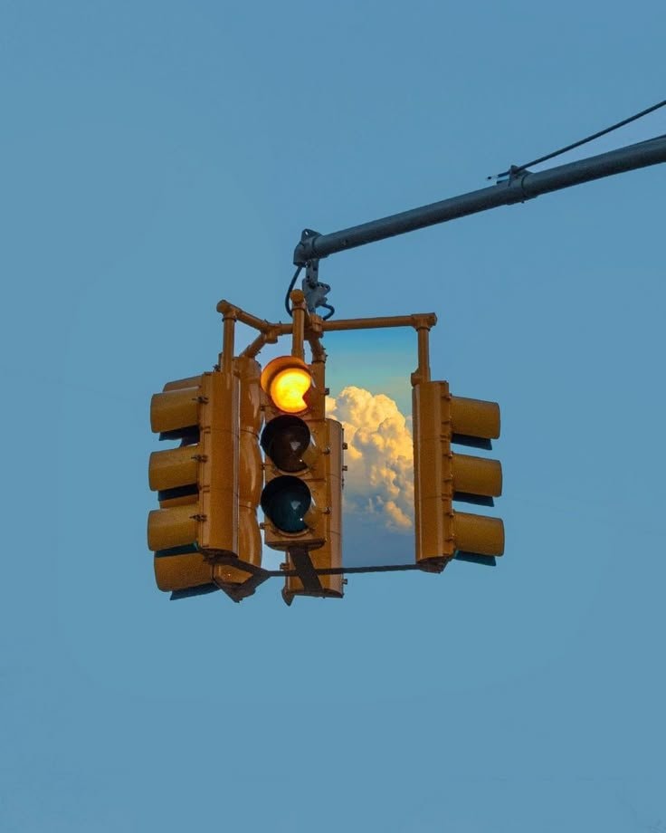 blooming tree in traffic light (photo 2 of 2)