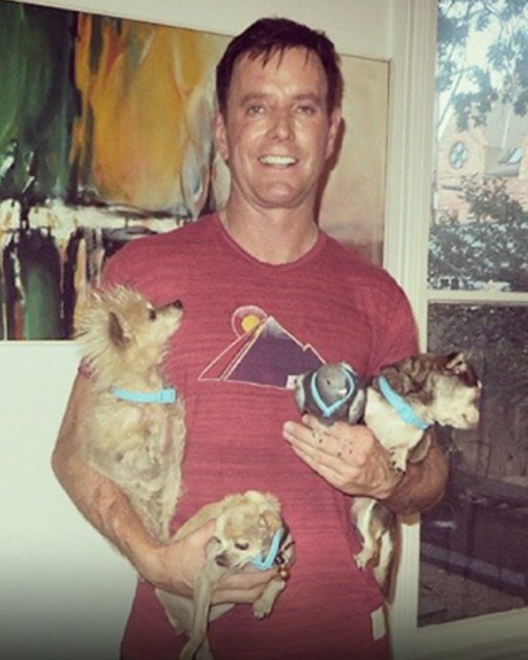 Steve Greig senior dogs (photo 1 of 2)