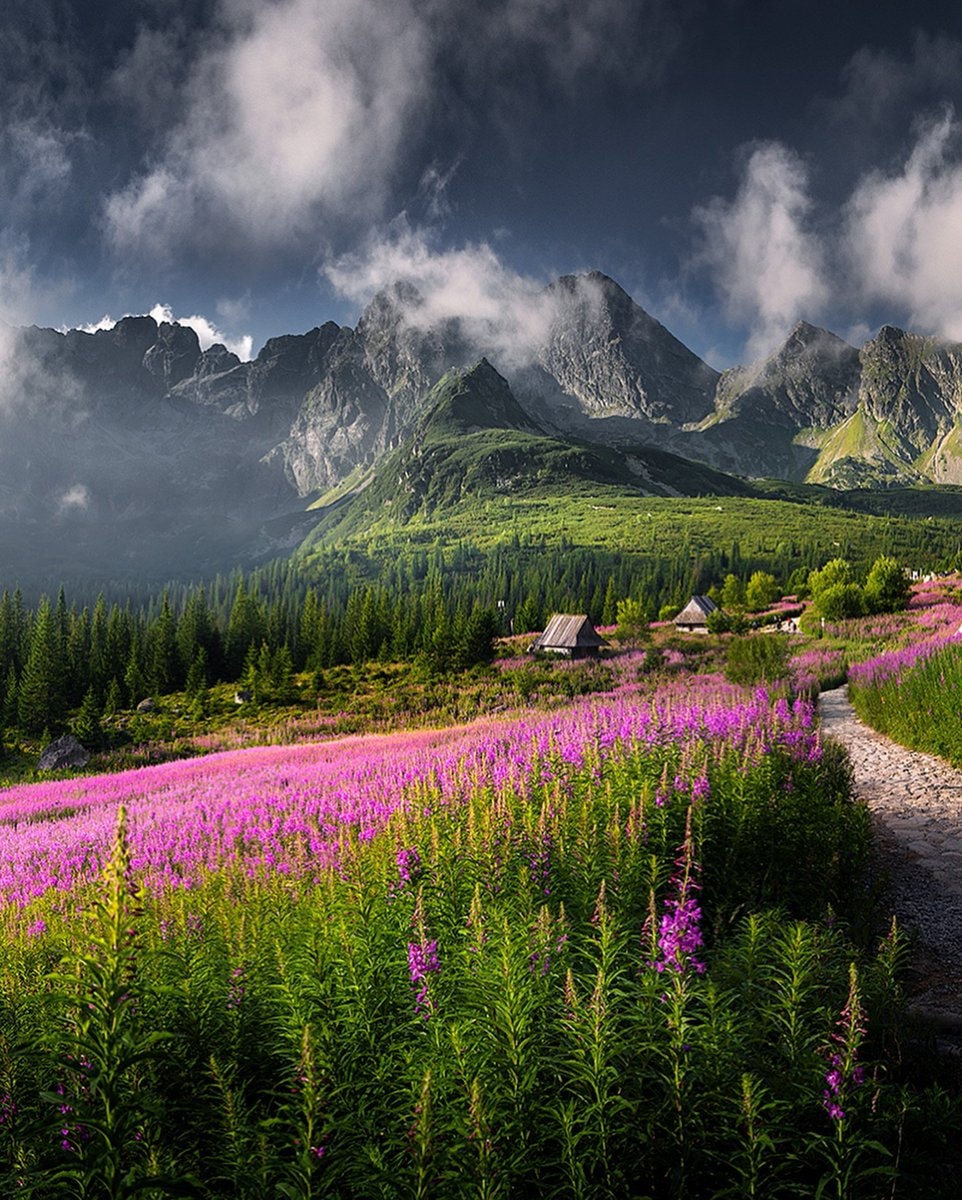 Tatry Mountain Poland (photo 4 of 4)
