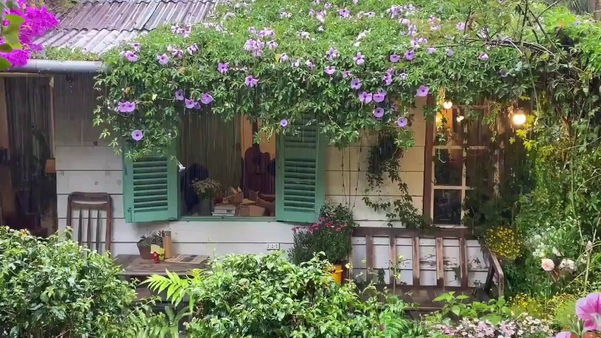 Overgrown cottage exterior