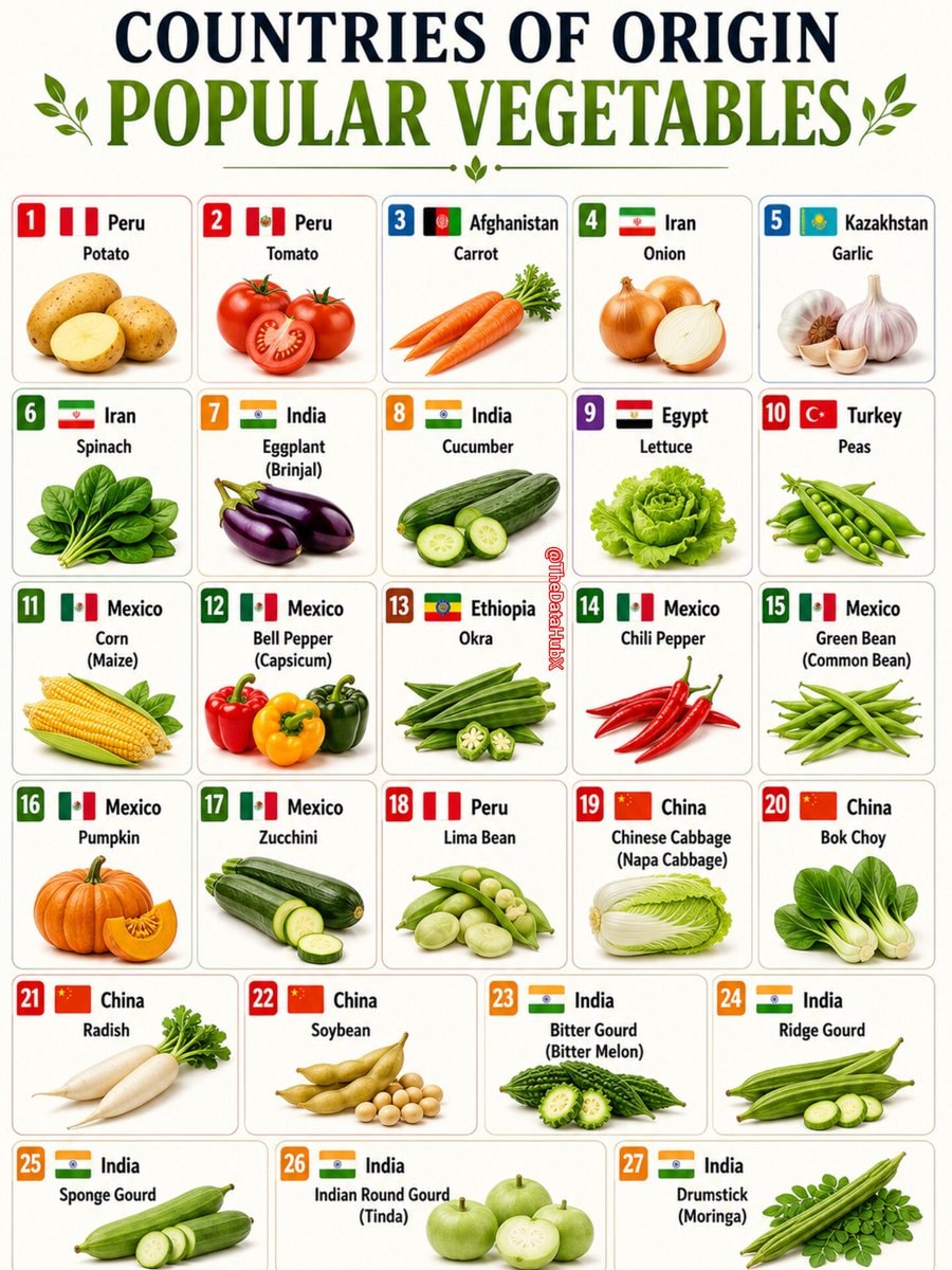 Vegetable origin chart