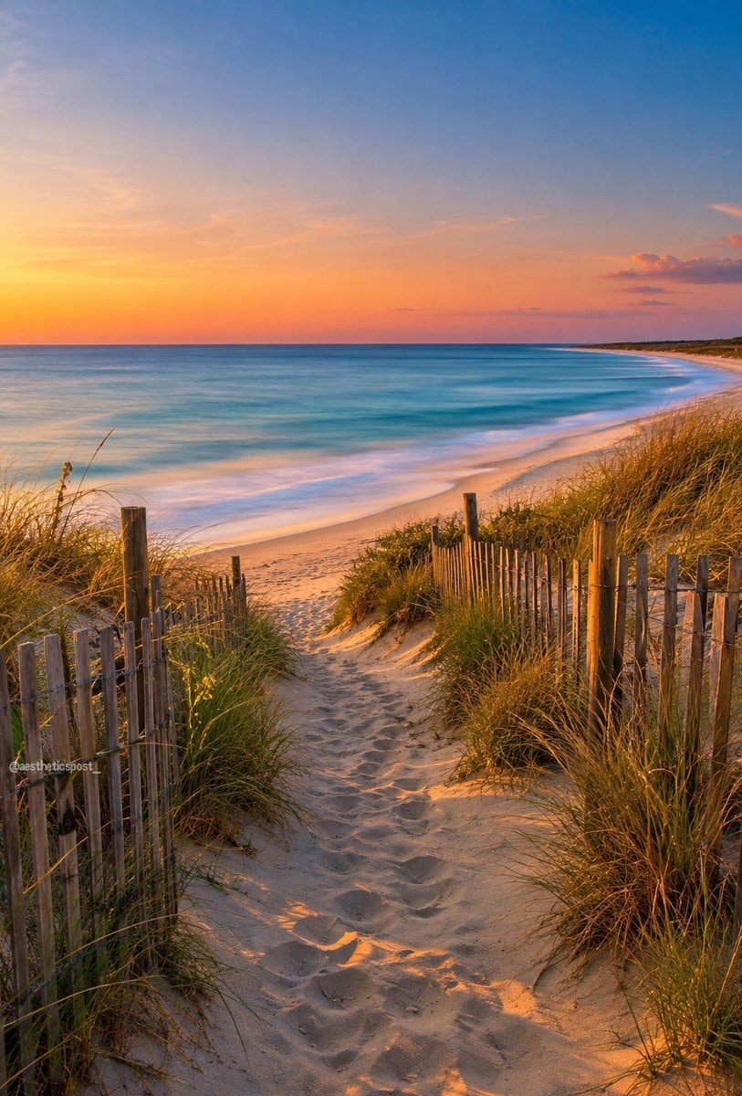 scenic beach path at sunset
